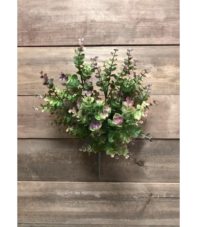 16" Eucalyptus Bush