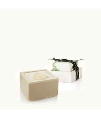 Thymes Frasier Fir Bar Soap & Dish Set