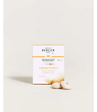 Maison Berger Car Refill