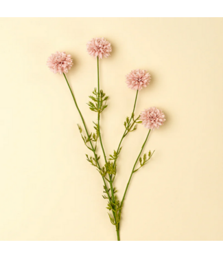 Indaba Mini Chrysanthemum - PINK