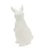 Modern White Bunny
