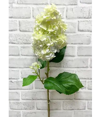33" White Green Fresh Touch Cone Hydrangea spray