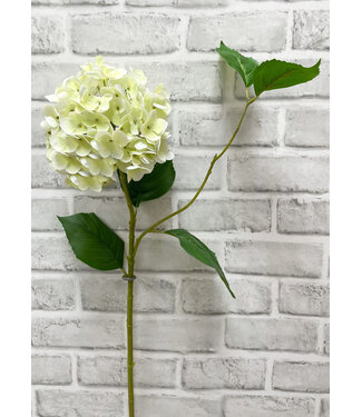 30" White Green Fresh Touch Hydrangea Spray