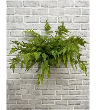 22" Fresh Touch Lacy Tree Fern Bush