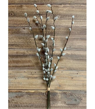 19" Pussy Willow Bundle