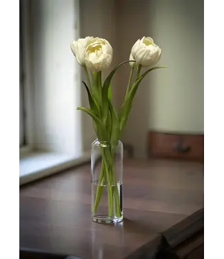 18" Fresh Touch Double Peony Tulip Bundle