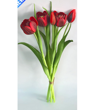 16.5" Fresh Touch Red double Late Tulip Bundle