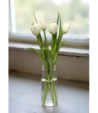 16" Fresh Touch Dynasty Tulip Bundle