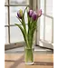 16" Fresh Touch Dynasty Tulip Bundle