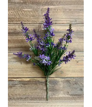 13" Purple Sweet Veronica Bush