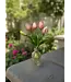 10"Fresh Touch Mini Tulip Bundle
