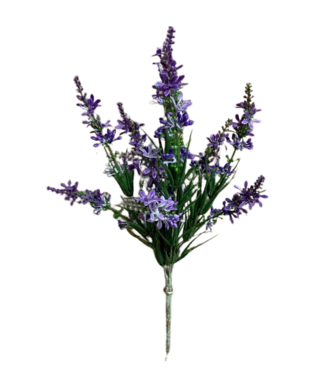 13" Purple Sweet Veronica Bush