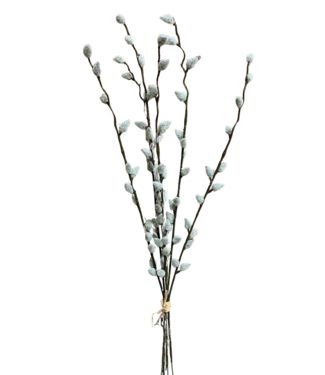 19" Pussy Willow Bundle
