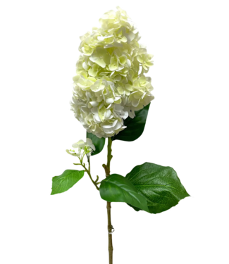33" White Green Fresh Touch Cone Hydrangea spray