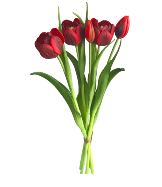 16.5" Fresh Touch Red double Late Tulip Bundle