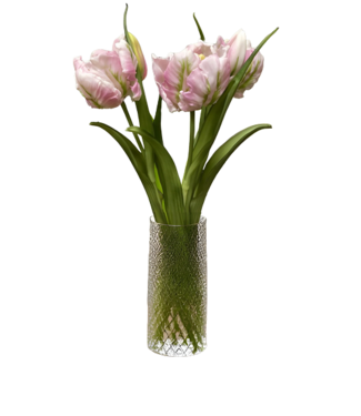 16" Fresh touch Lavender/Freen Tulipa Parrot