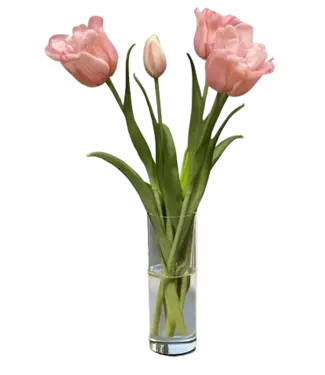 18" Fresh Touch Tulip Bundle