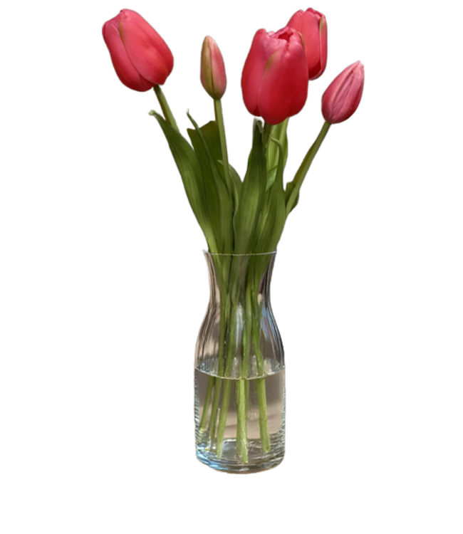 18" Fresh Touch Tulip Bundle