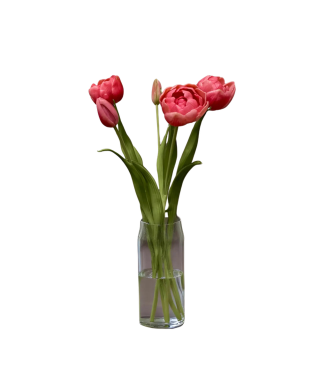 18" Fresh Touch Double Peony Tulip Bundle