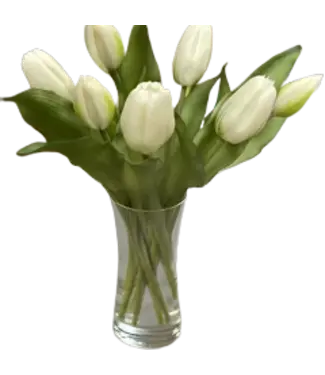 12" Fresh Touch Formosa Tulip Bundle