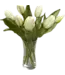 12" Fresh Touch Formosa Tulip Bundle