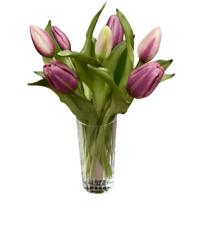 12" Fresh Touch Formosa Tulip Bundle