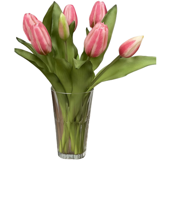 12" Fresh Touch Formosa Tulip Bundle