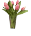 12" Fresh Touch Formosa Tulip Bundle