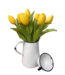 12" Fresh Touch Dynasty Tulip Bundle