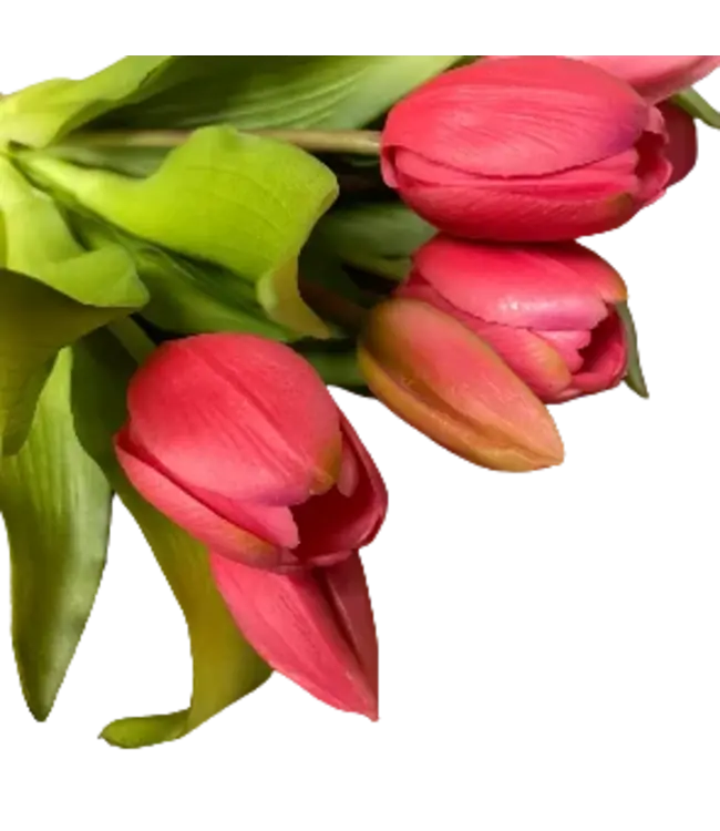 12" Fresh Touch Dynasty Tulip Bundle