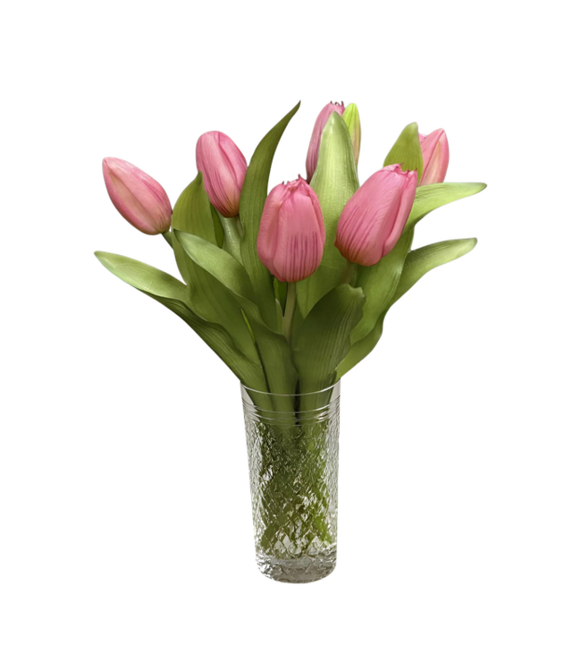12" Fresh Touch Dynasty Tulip Bundle