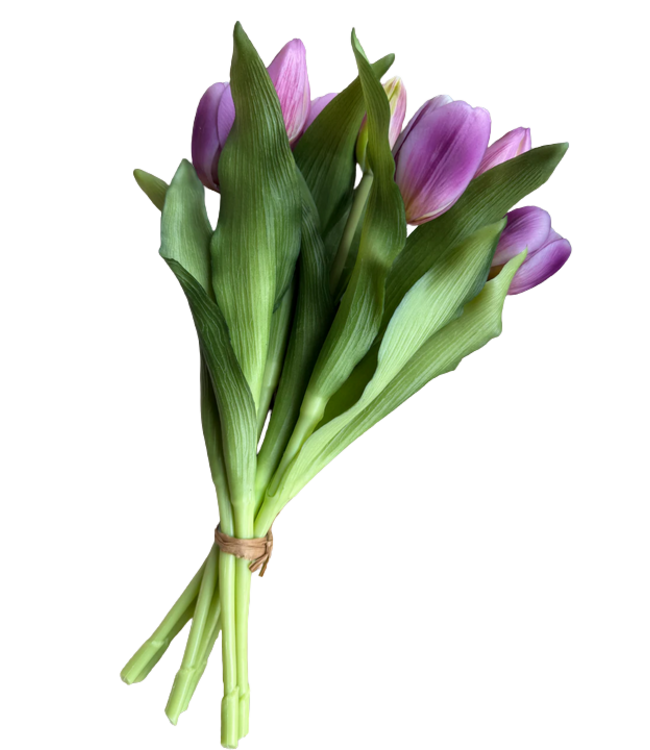 12" Fresh Touch Dynasty Tulip Bundle