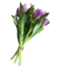 12" Fresh Touch Dynasty Tulip Bundle