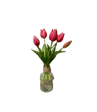 10"Fresh Touch Mini Tulip Bundle
