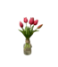 10"Fresh Touch Mini Tulip Bundle