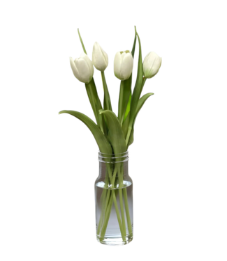 16" Fresh Touch Dynasty Tulip Bundle