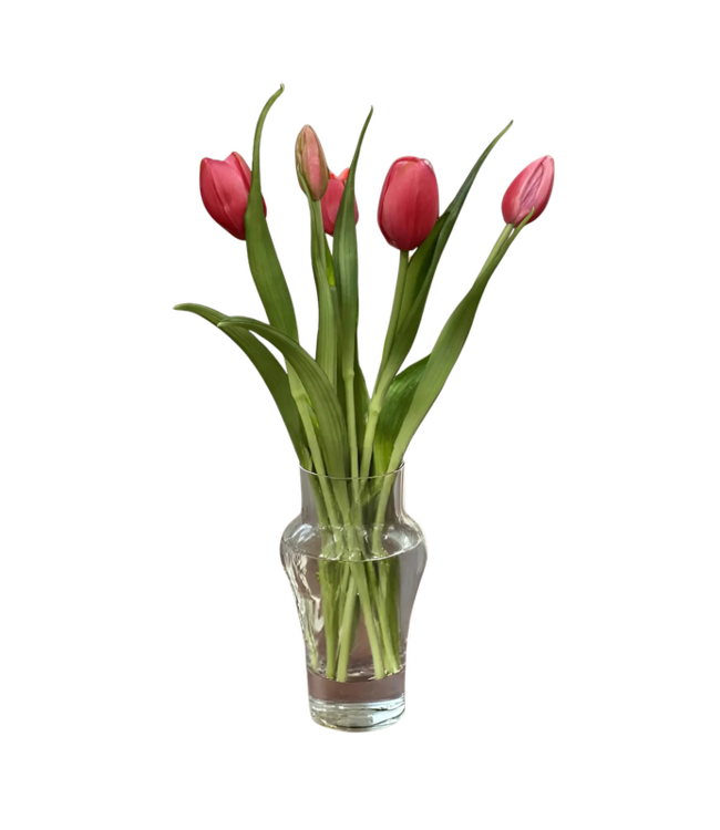 16" Fresh Touch Dynasty Tulip Bundle