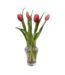 16" Fresh Touch Dynasty Tulip Bundle