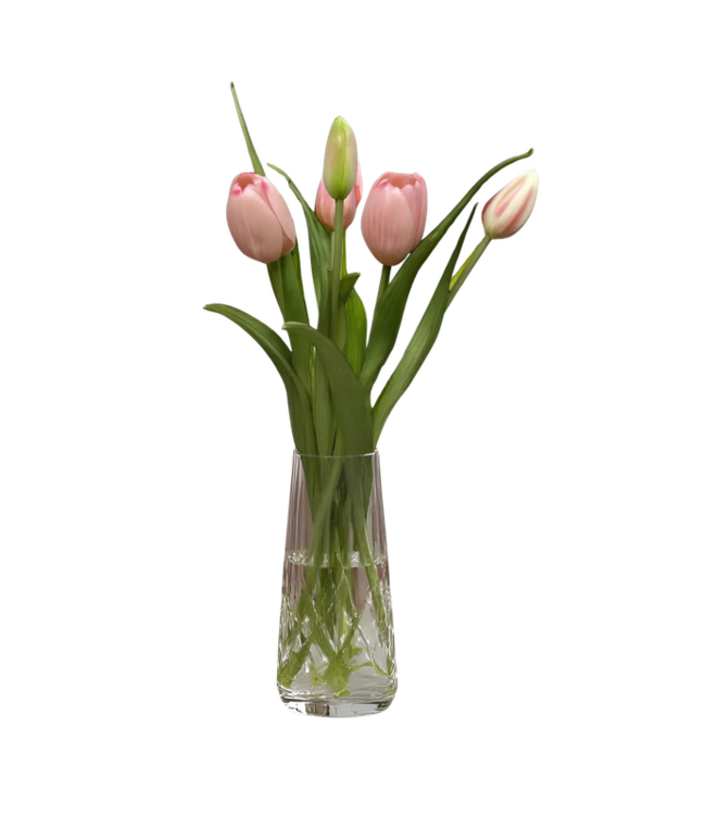 16" Fresh Touch Dynasty Tulip Bundle