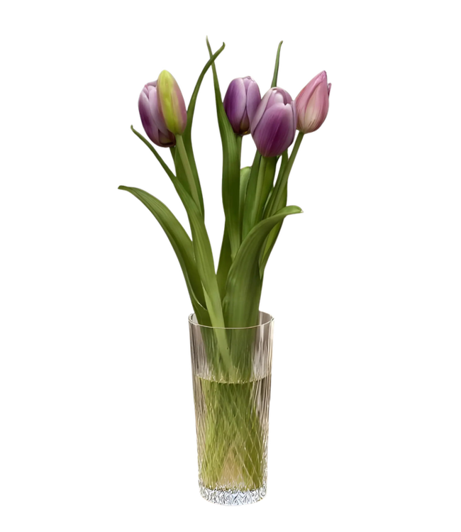 16" Fresh Touch Dynasty Tulip Bundle