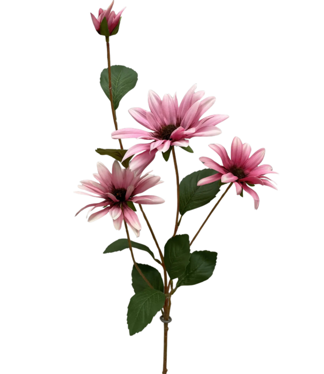 32.5 Black Eye Susan Stem