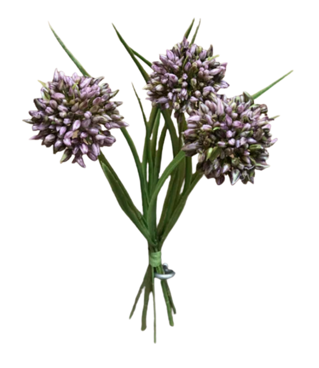 11" Allium Grass Bundle