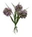 11" Allium Grass Bundle