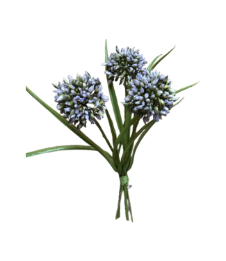 11" Allium Grass Bundle