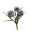 11" Allium Grass Bundle