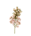 Indaba Delphinium Floral Stem - Pink