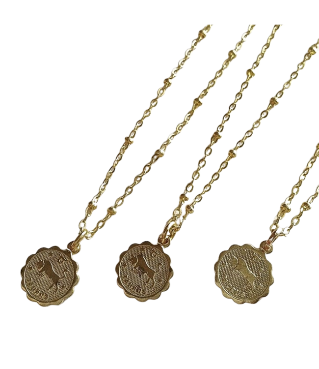 Zodiak Necklace