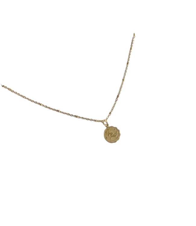 Zodiak Necklace