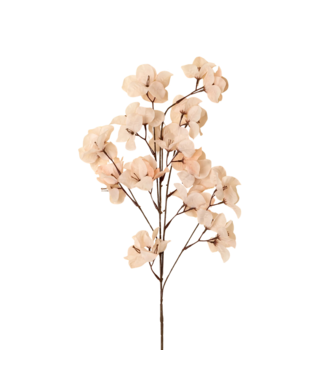 Indaba Bougainvillea Spray - LIGHT PINK