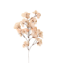 Indaba Bougainvillea Spray - LIGHT PINK